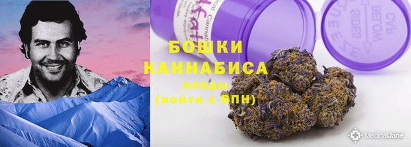 шишки Абаза