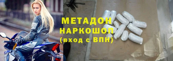 шишки Абаза