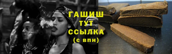 шишки Абаза
