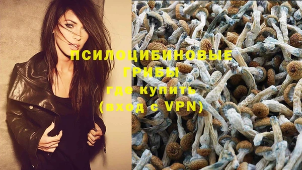 амфетамин Алексин