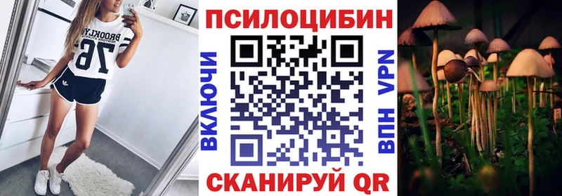 Псилоцибиновые грибы Psilocybe  darknet Telegram  Северодвинск 