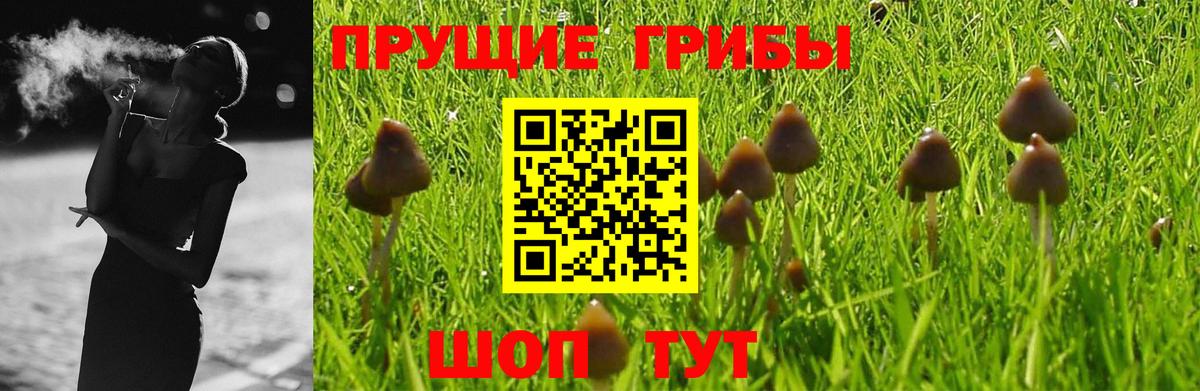 Северодвинск  Псилоцибиновые грибы Psilocybe  Псилоцибиновые грибы Cubensis  Вход с VPN 